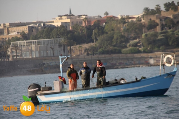 sayyadnewyaffa3 (19).JPG